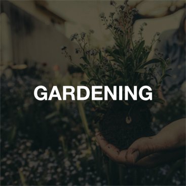 Gardening